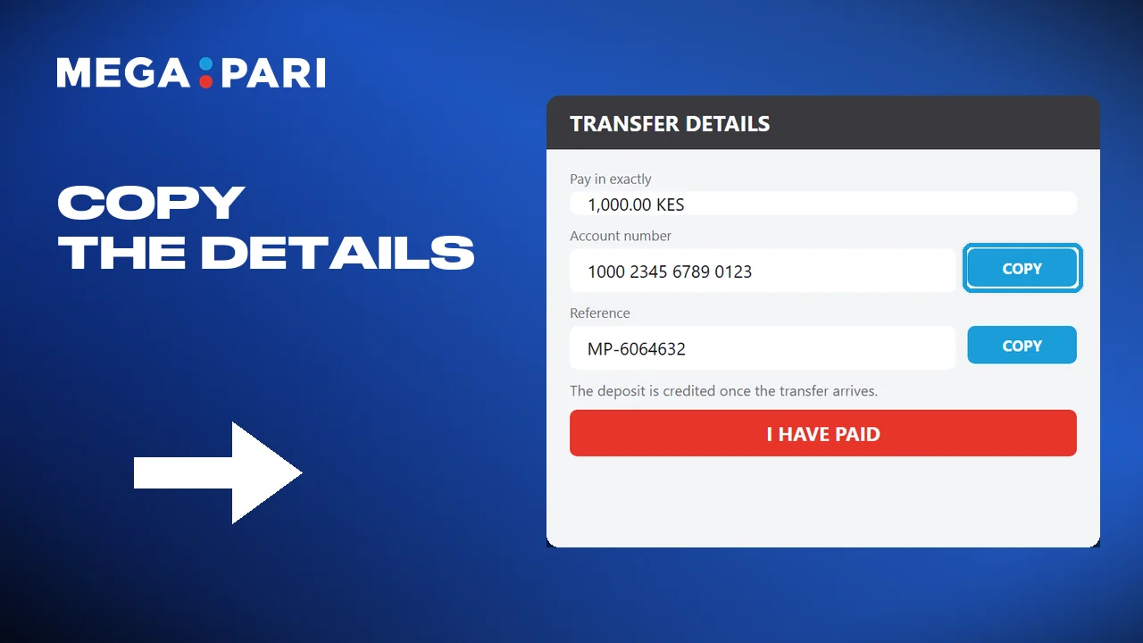 Copying the payment details shown on the screen