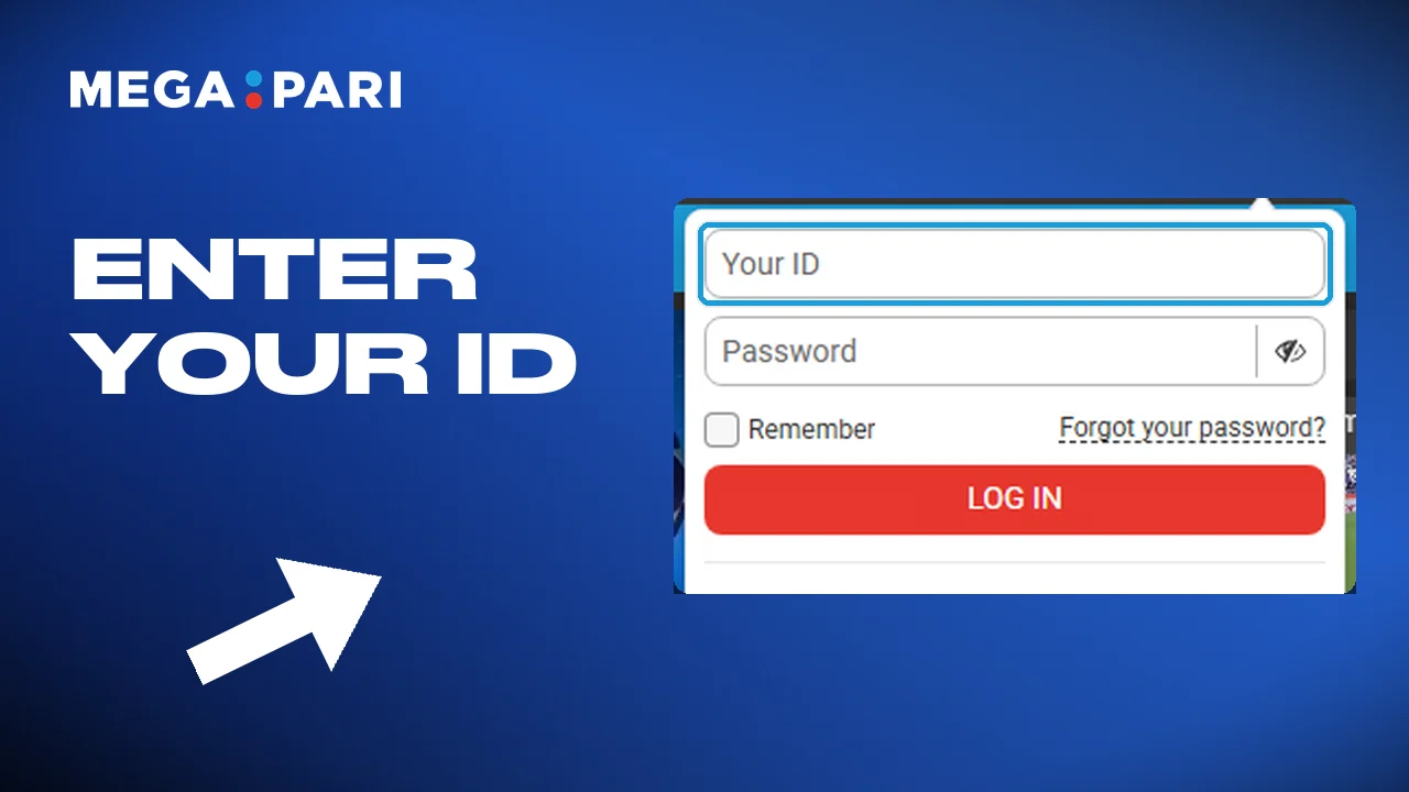 Logging in to Megapari with the email or the number given earlier
